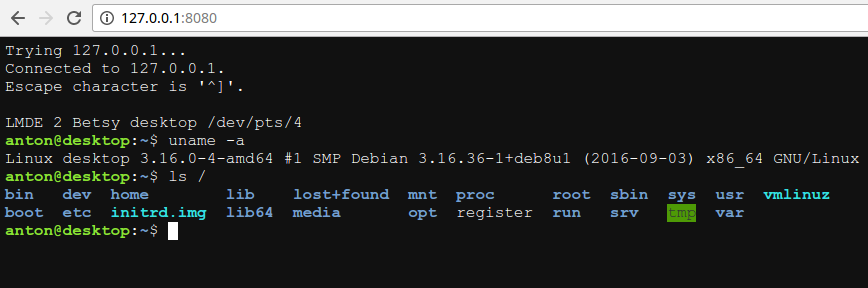 WebSocket implementation for UNIX shell